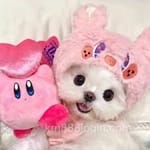 Avatar de Mia Franco